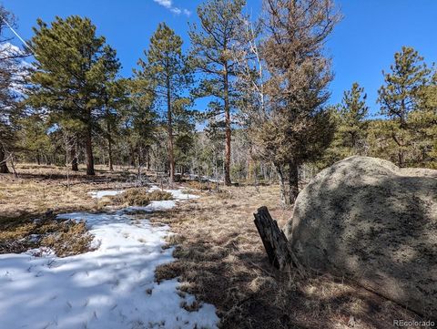 Unimproved Land in Florissant CO 1620 Park Ridge Drive 9.jpg