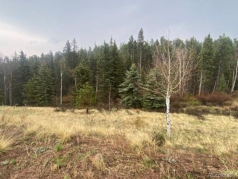 Unimproved Land in Florissant CO 1620 Park Ridge Drive 4.jpg