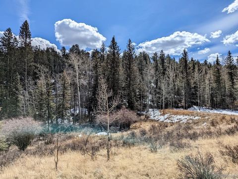 Unimproved Land in Florissant CO 1620 Park Ridge Drive 10.jpg