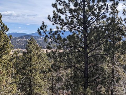 Unimproved Land in Florissant CO 1620 Park Ridge Drive 13.jpg