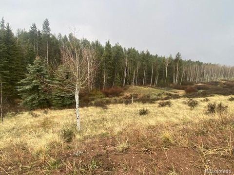 Unimproved Land in Florissant CO 1620 Park Ridge Drive 2.jpg