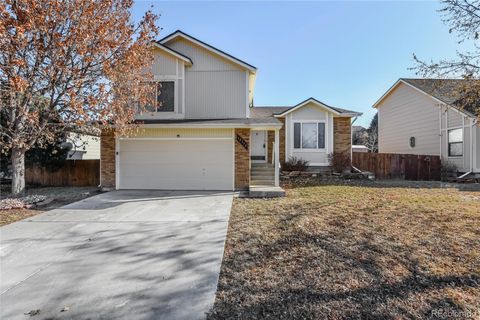 12572 Country Meadows Drive, Parker, CO 80134 - #: 8274146
