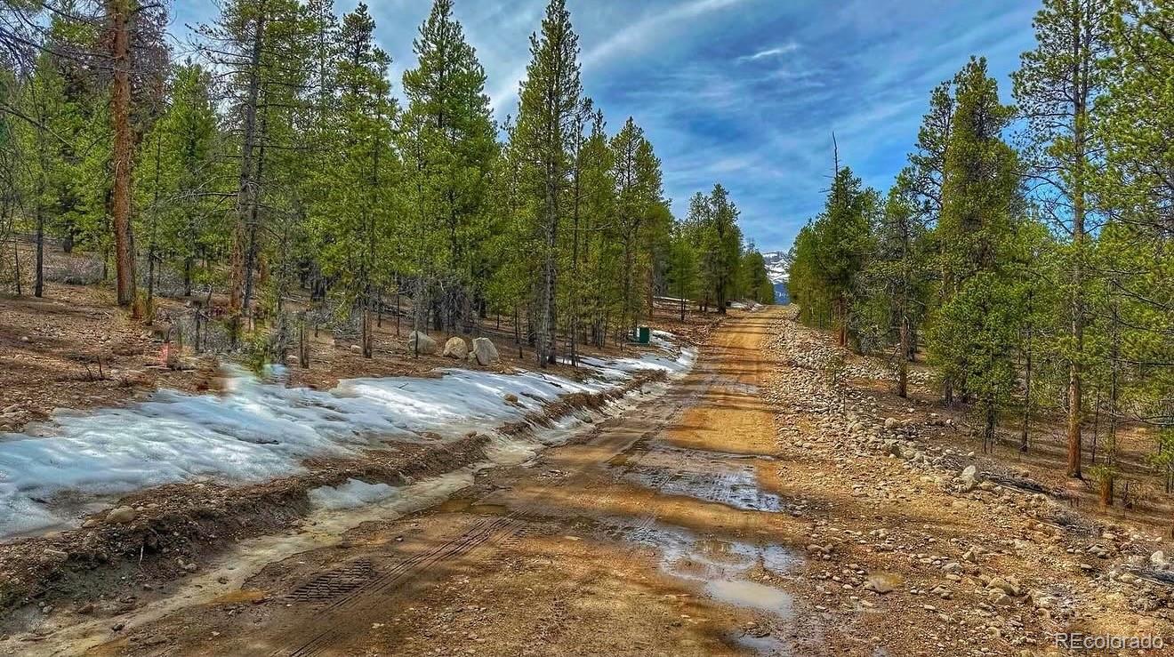 66 Mount Massive Road