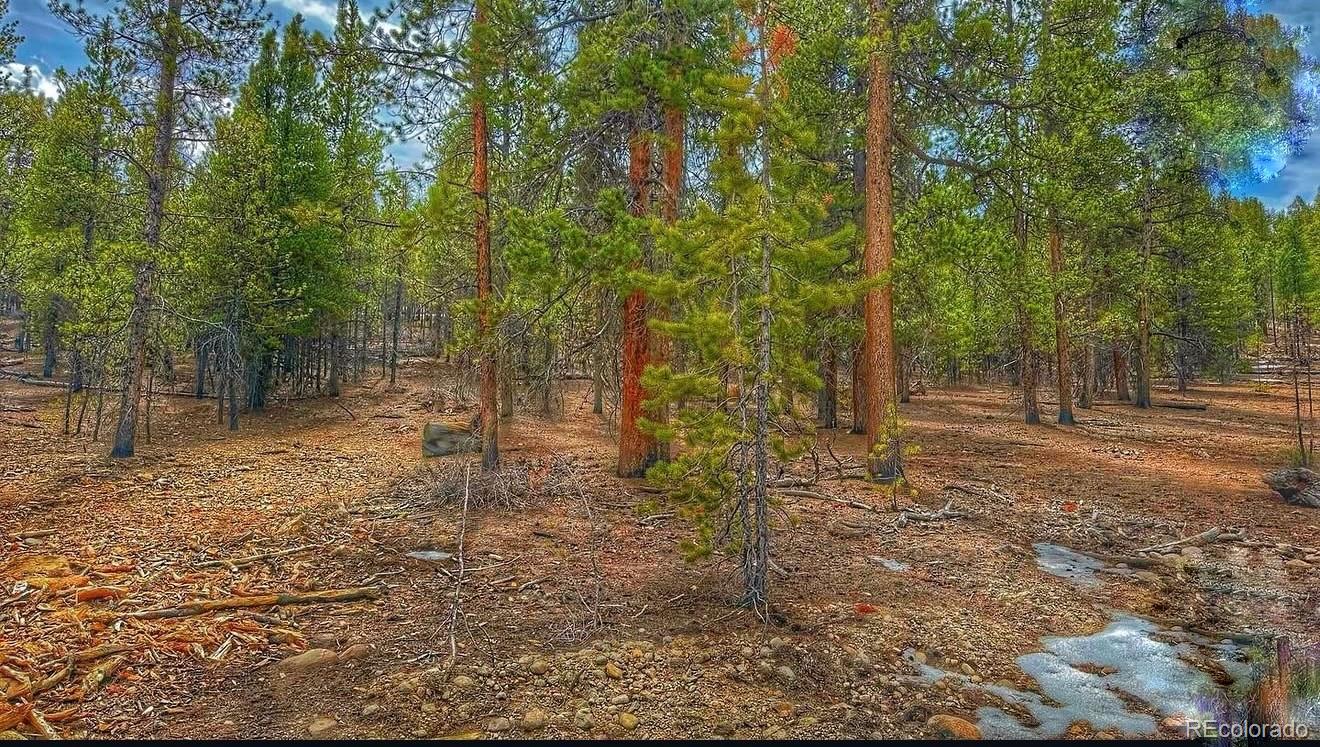 66 Mount Massive Road