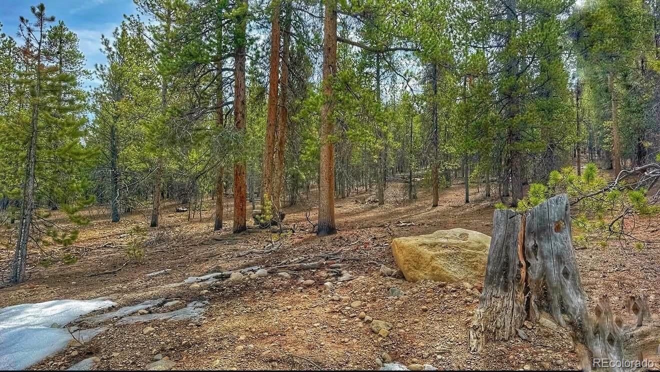 66 Mount Massive Road