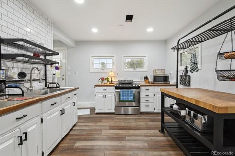 31551 Black Widow Drive Conifer CO 80433