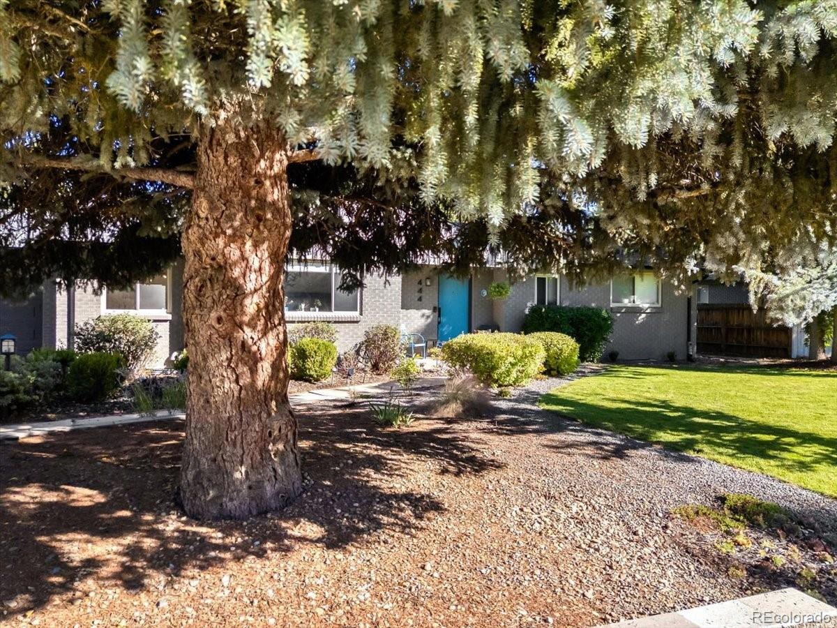 444 S Niagara Street