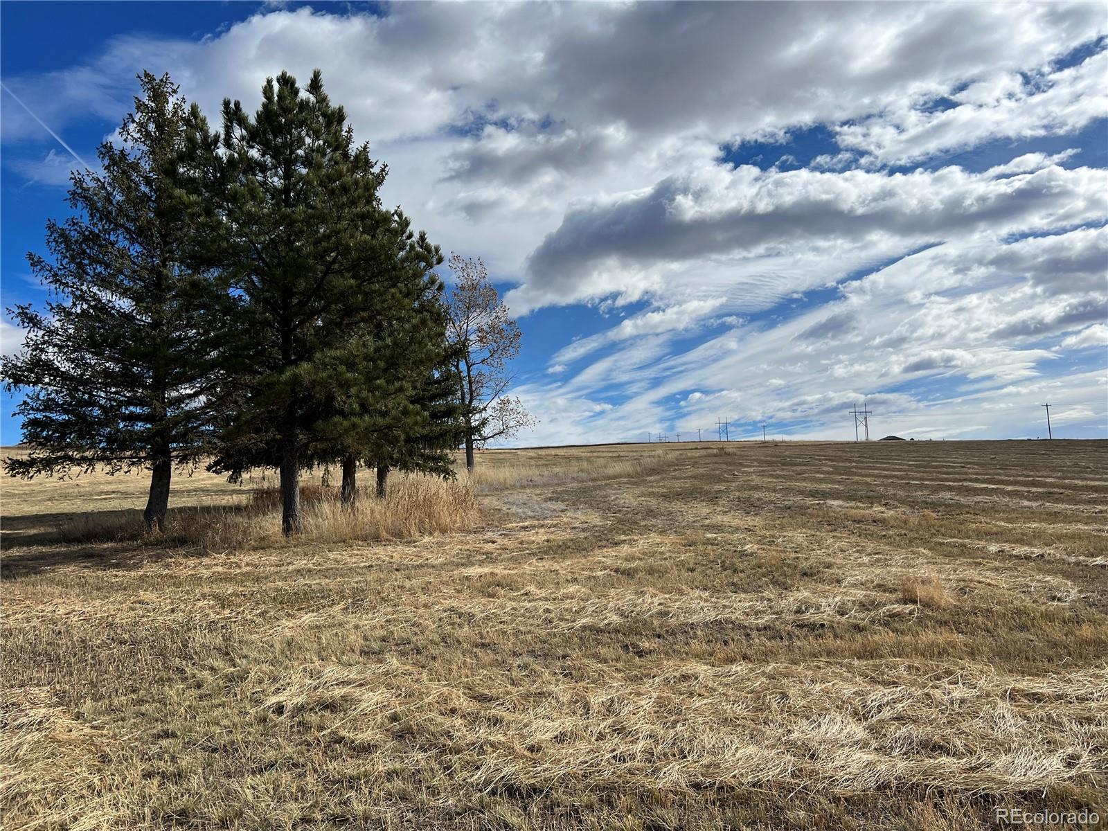 10440 Lucas Avenue, Franktown, CO, 80116 10440 Lucas Avenue