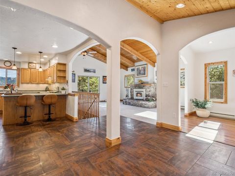 34273 Ponca Road Pine CO 80470