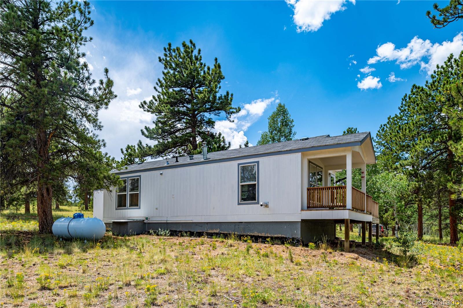 9674 Ranch Road, Hartsel, CO, 80449 1 9674 Ranch Road