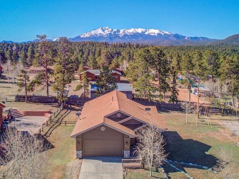 2209 Valley View Drive, Woodland Park, CO 80863 - #: 8070664