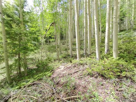 Lot 5364 Slegers Road, Fort Garland, CO 81133 - #: 1875286