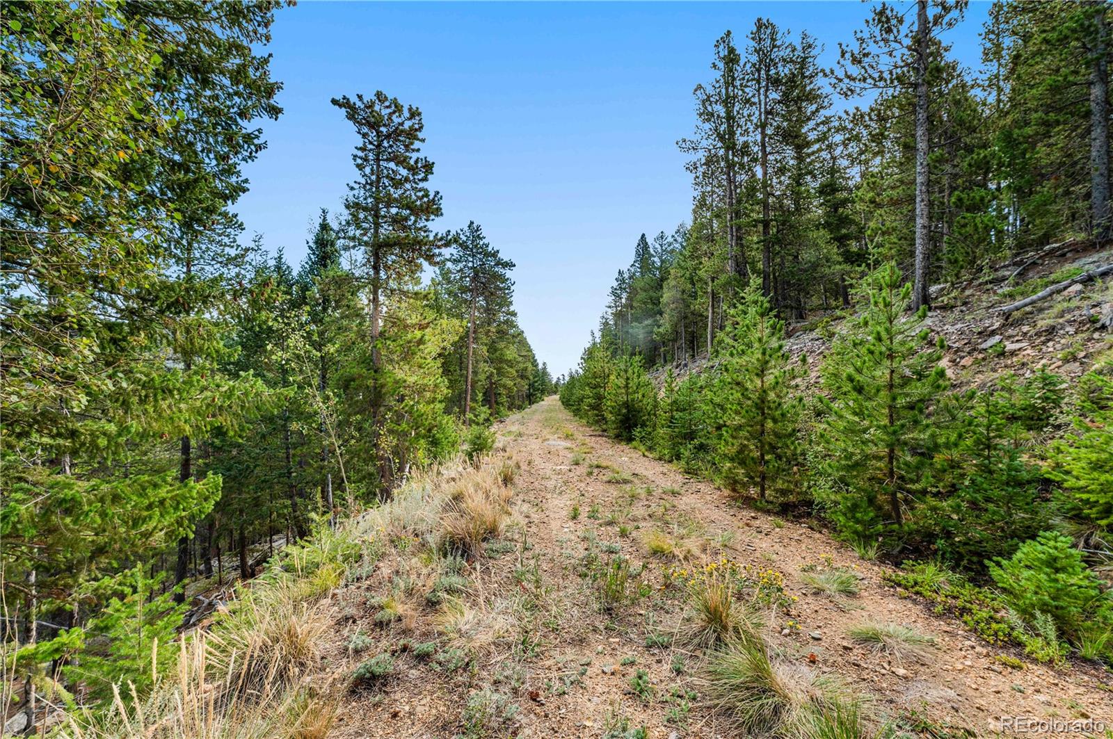 Lot F Gray Wolf Trail