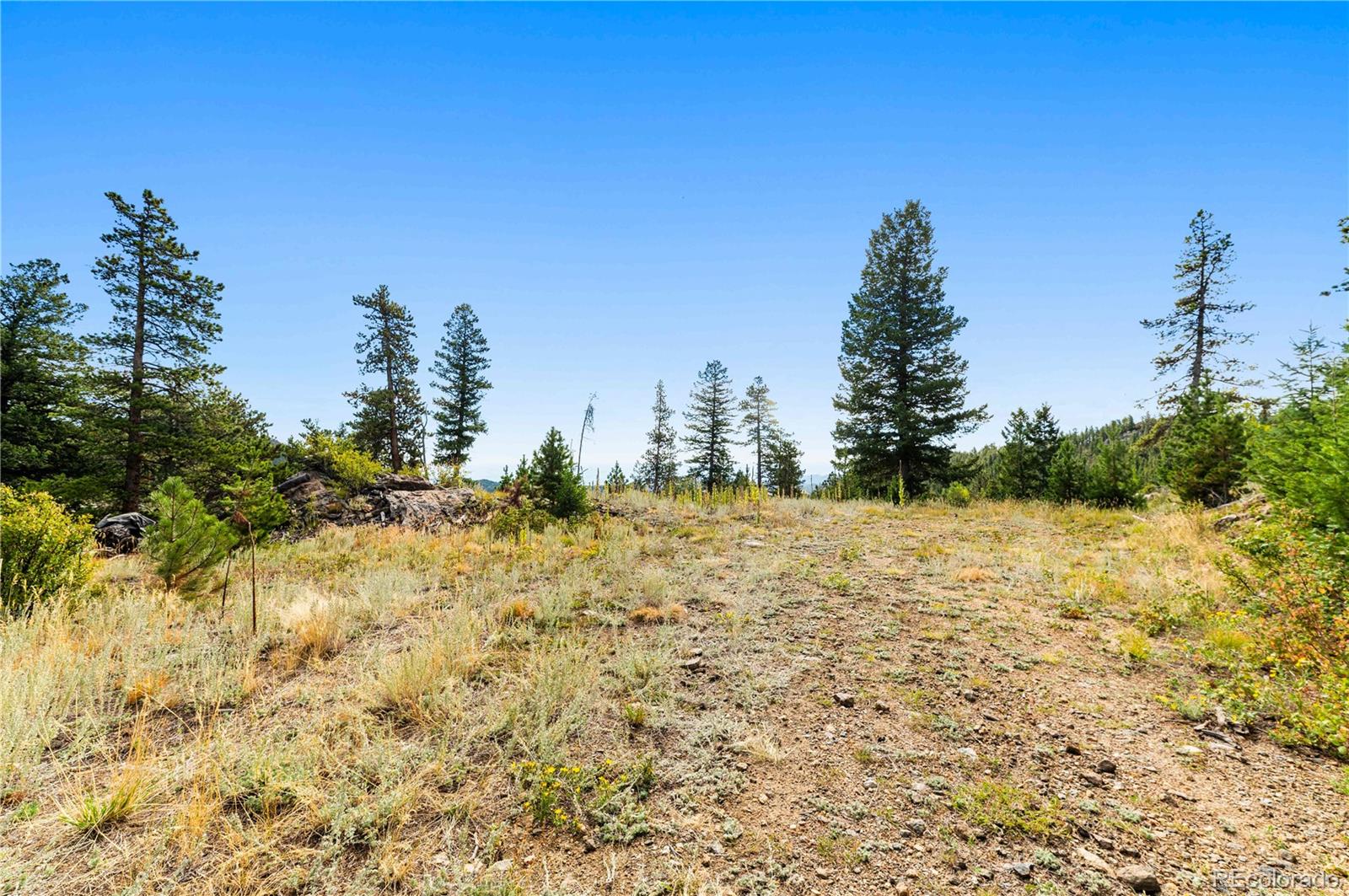 Lot F Gray Wolf Trail