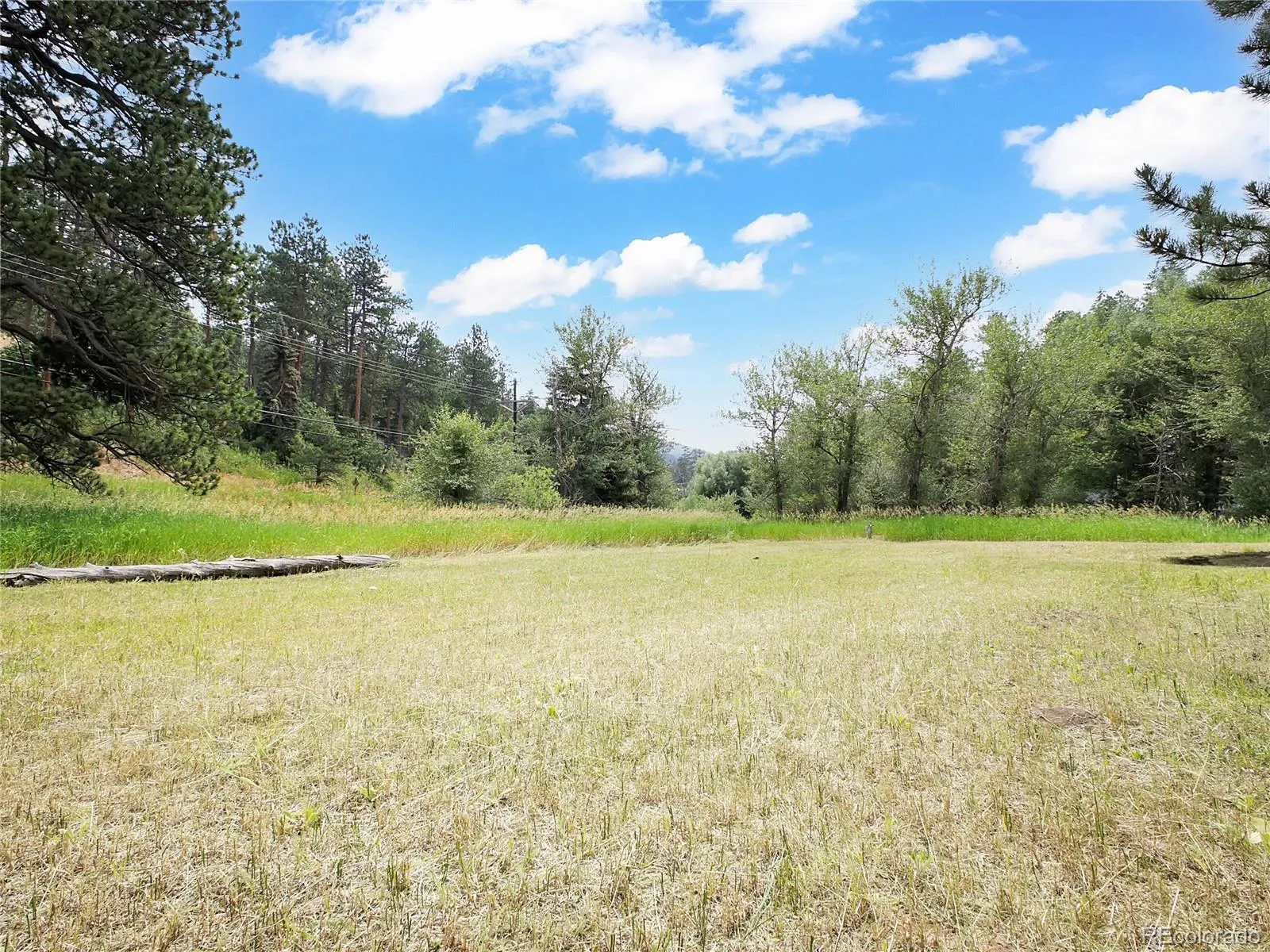 Indian Hills, Colorado 80454, United States, ,Land,Active,174416