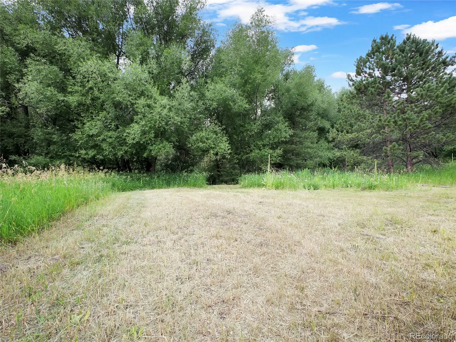 Indian Hills, Colorado 80454, United States, ,Land,Active,174416