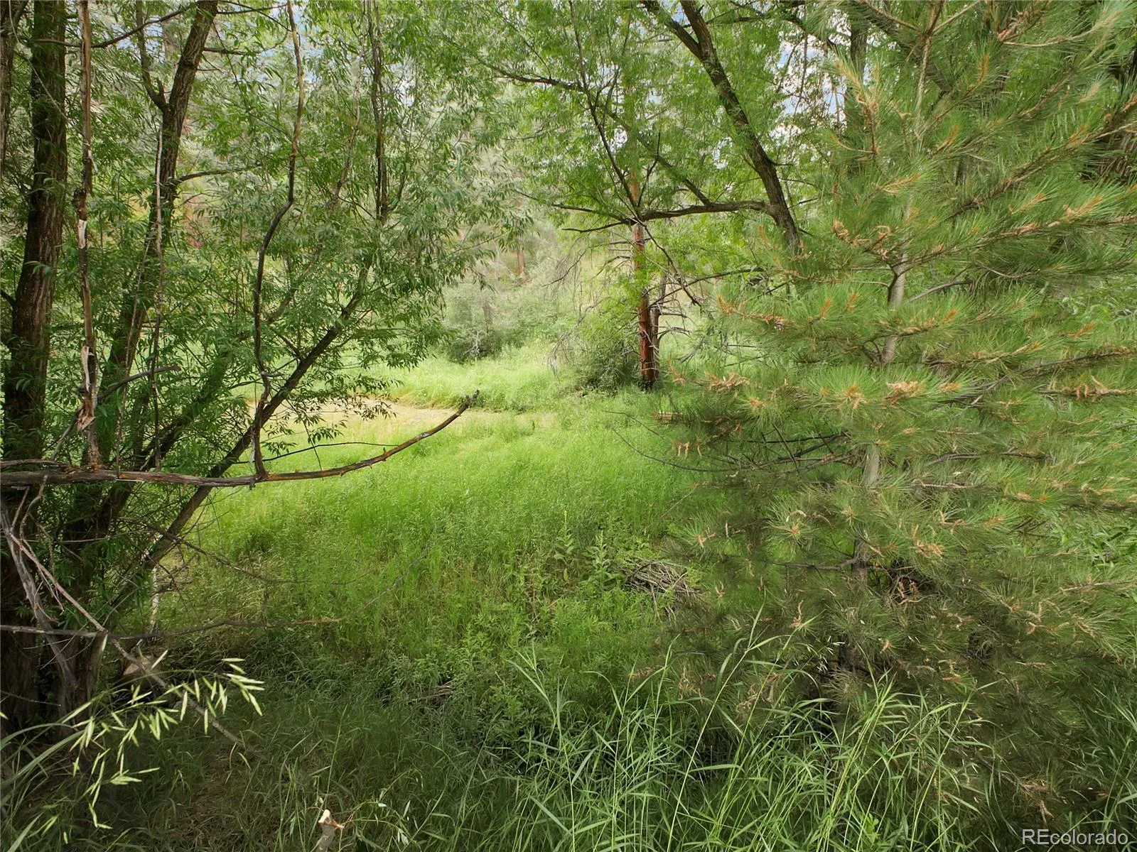 Indian Hills, Colorado 80454, United States, ,Land,Active,174416