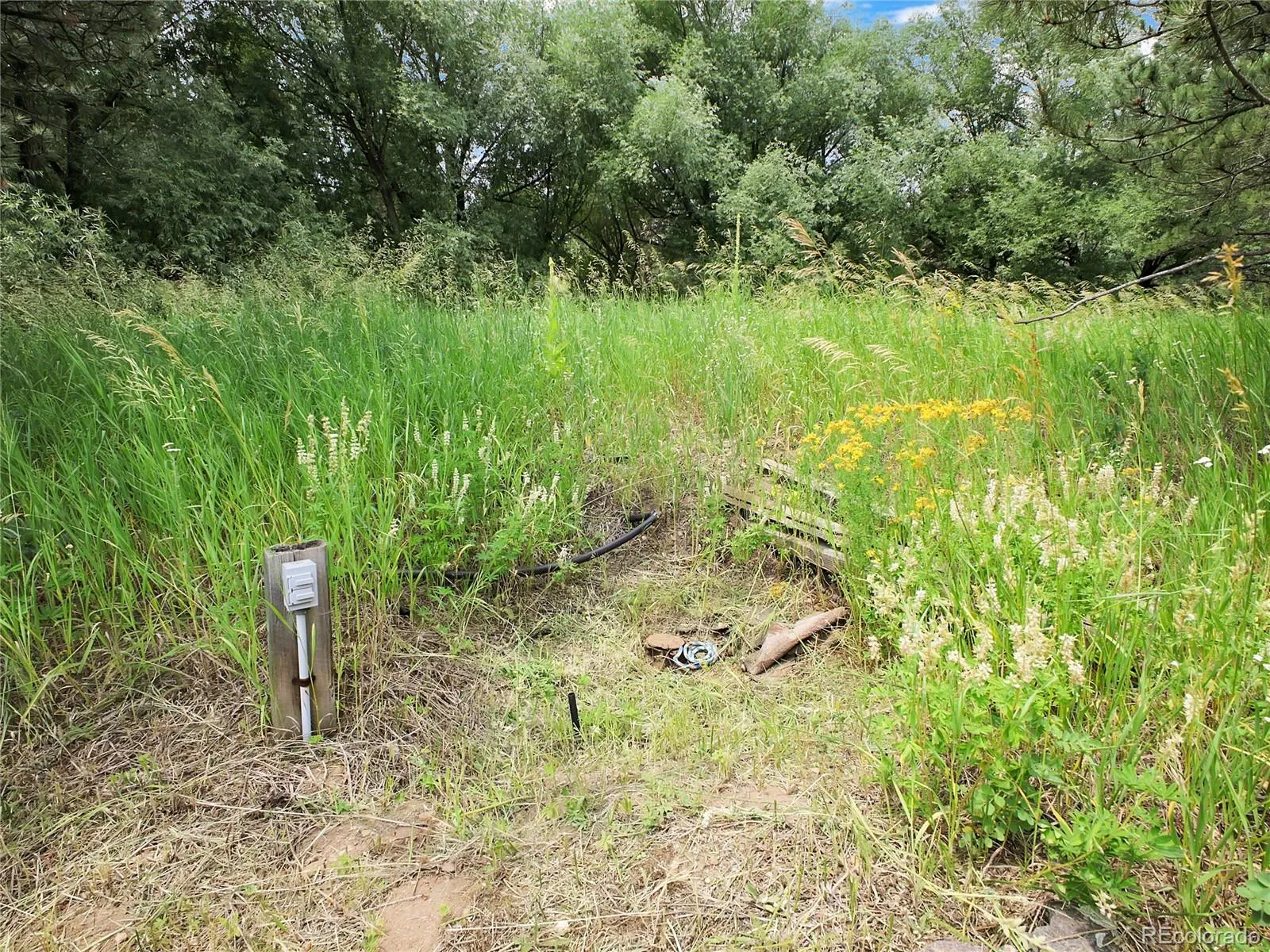 Indian Hills, Colorado 80454, United States, ,Land,Active,174416