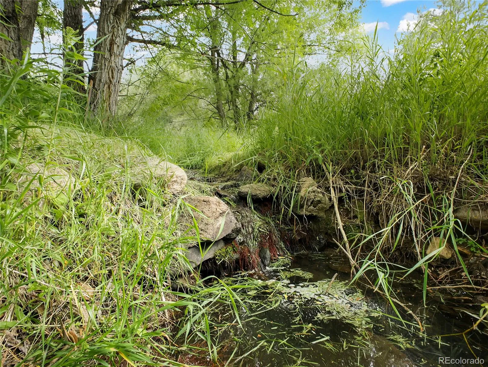 Indian Hills, Colorado 80454, United States, ,Land,Active,174416