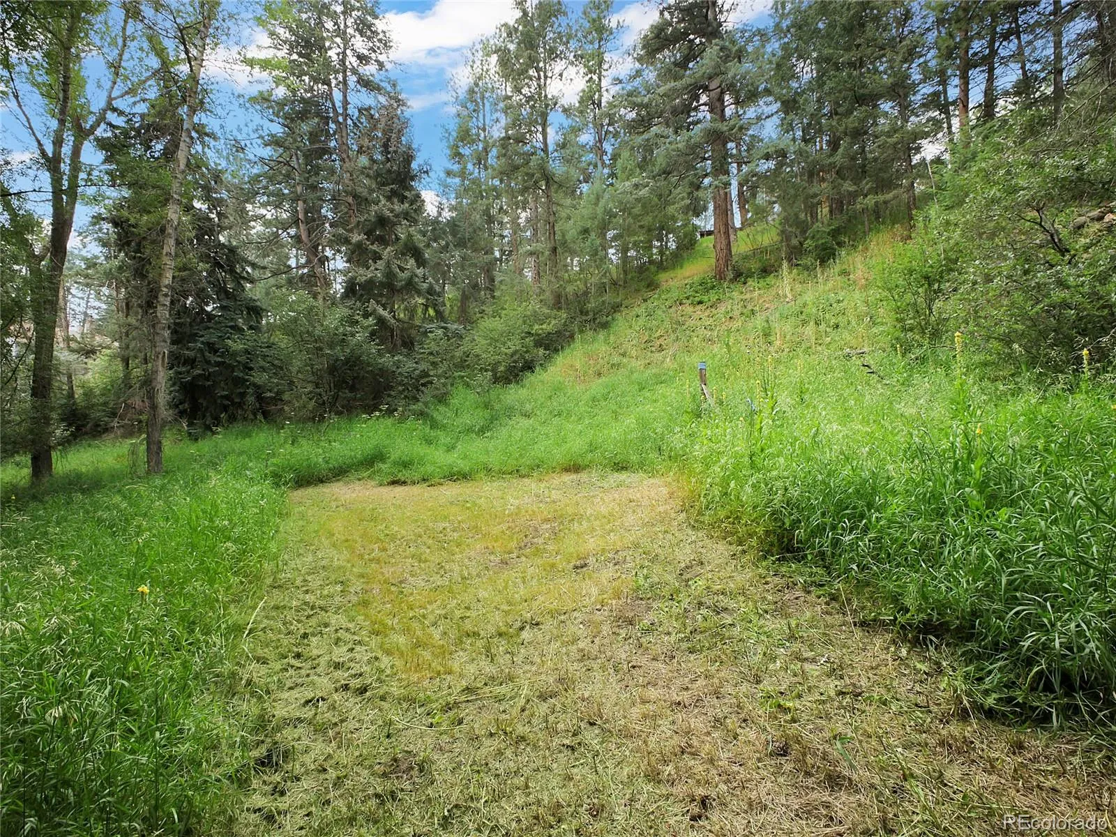 Indian Hills, Colorado 80454, United States, ,Land,Active,174416