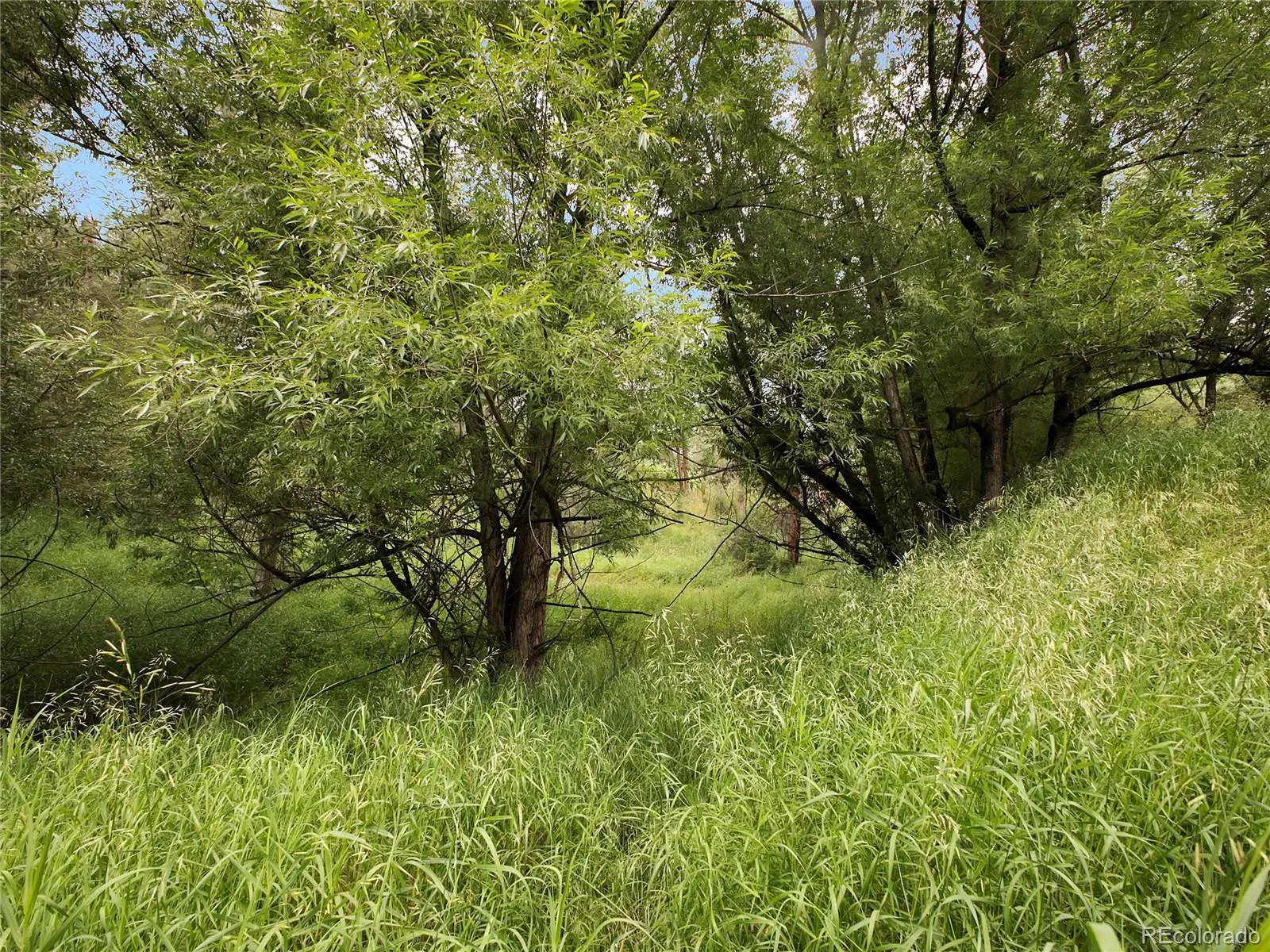 Indian Hills, Colorado 80454, United States, ,Land,Active,174416