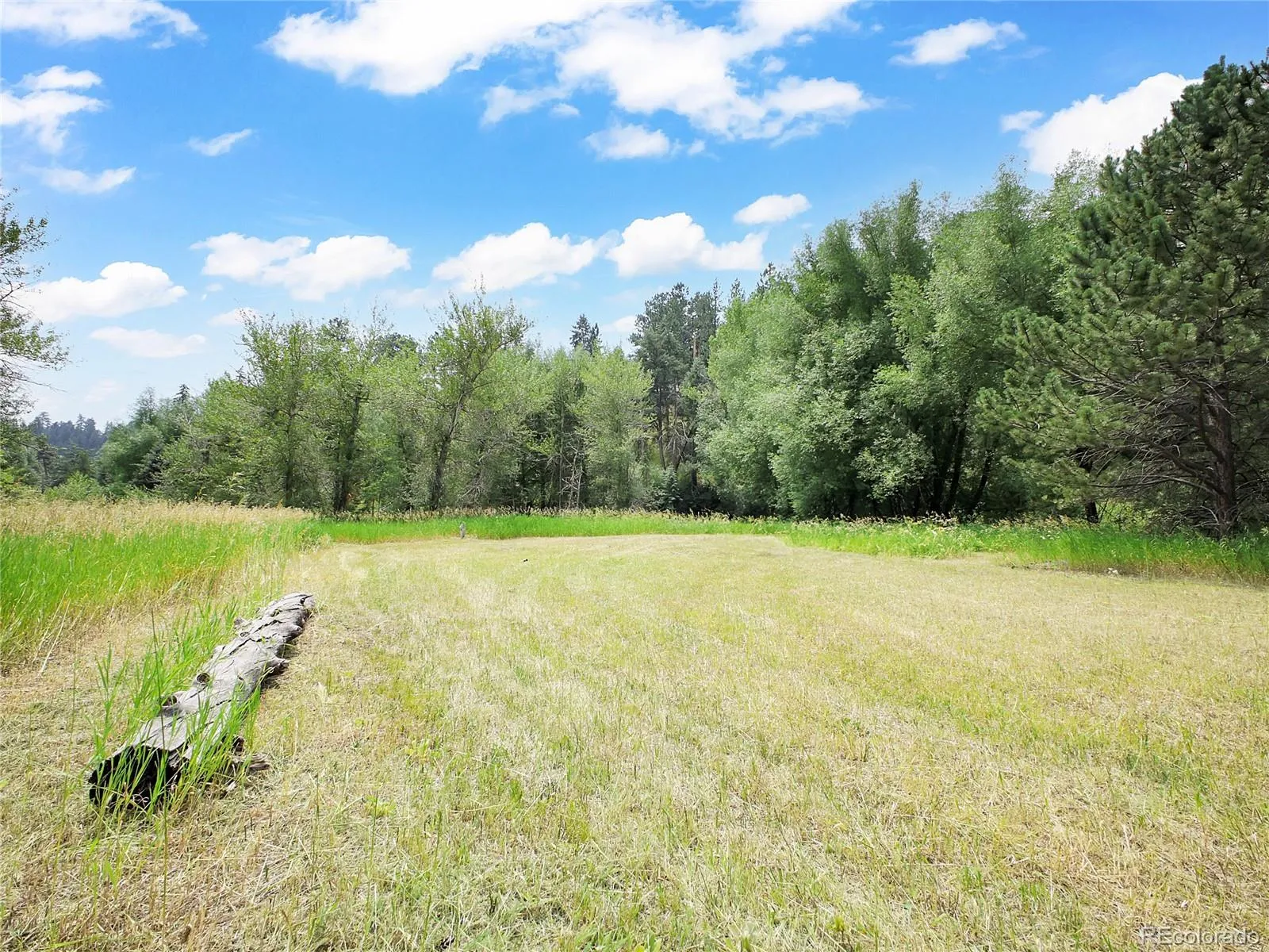 Indian Hills, Colorado 80454, United States, ,Land,Active,174416