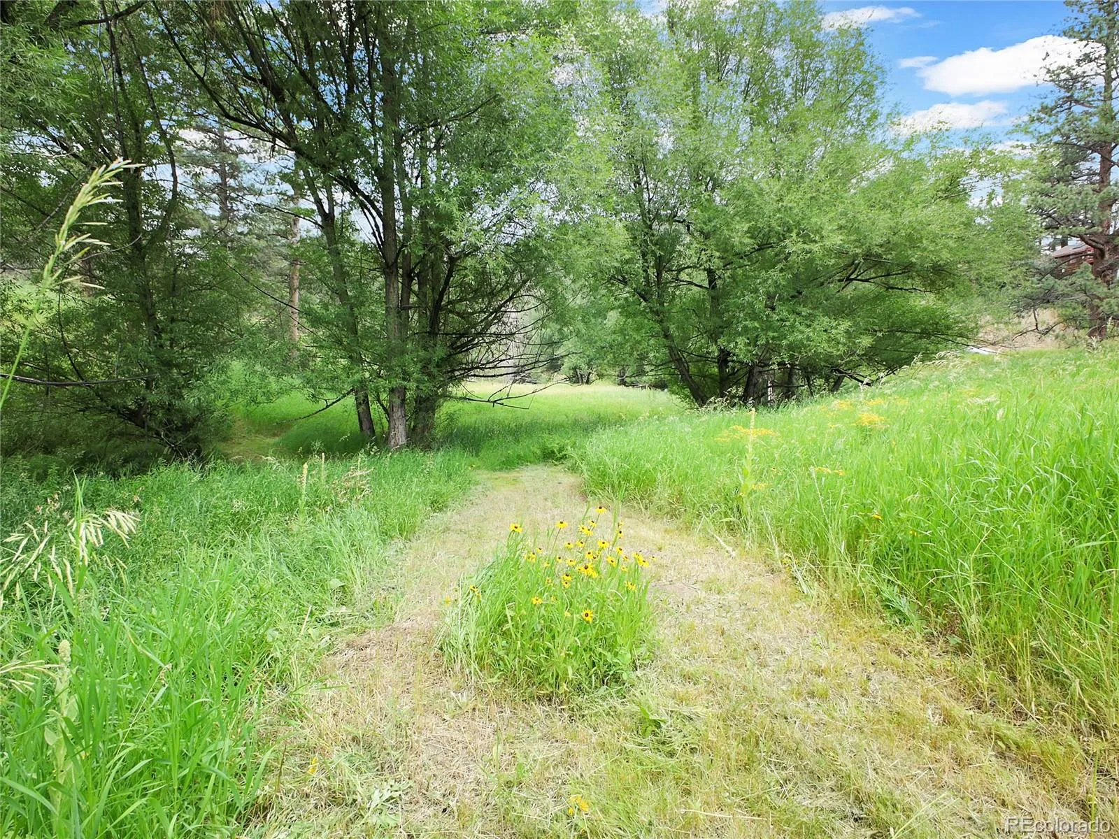 Indian Hills, Colorado 80454, United States, ,Land,Active,174416