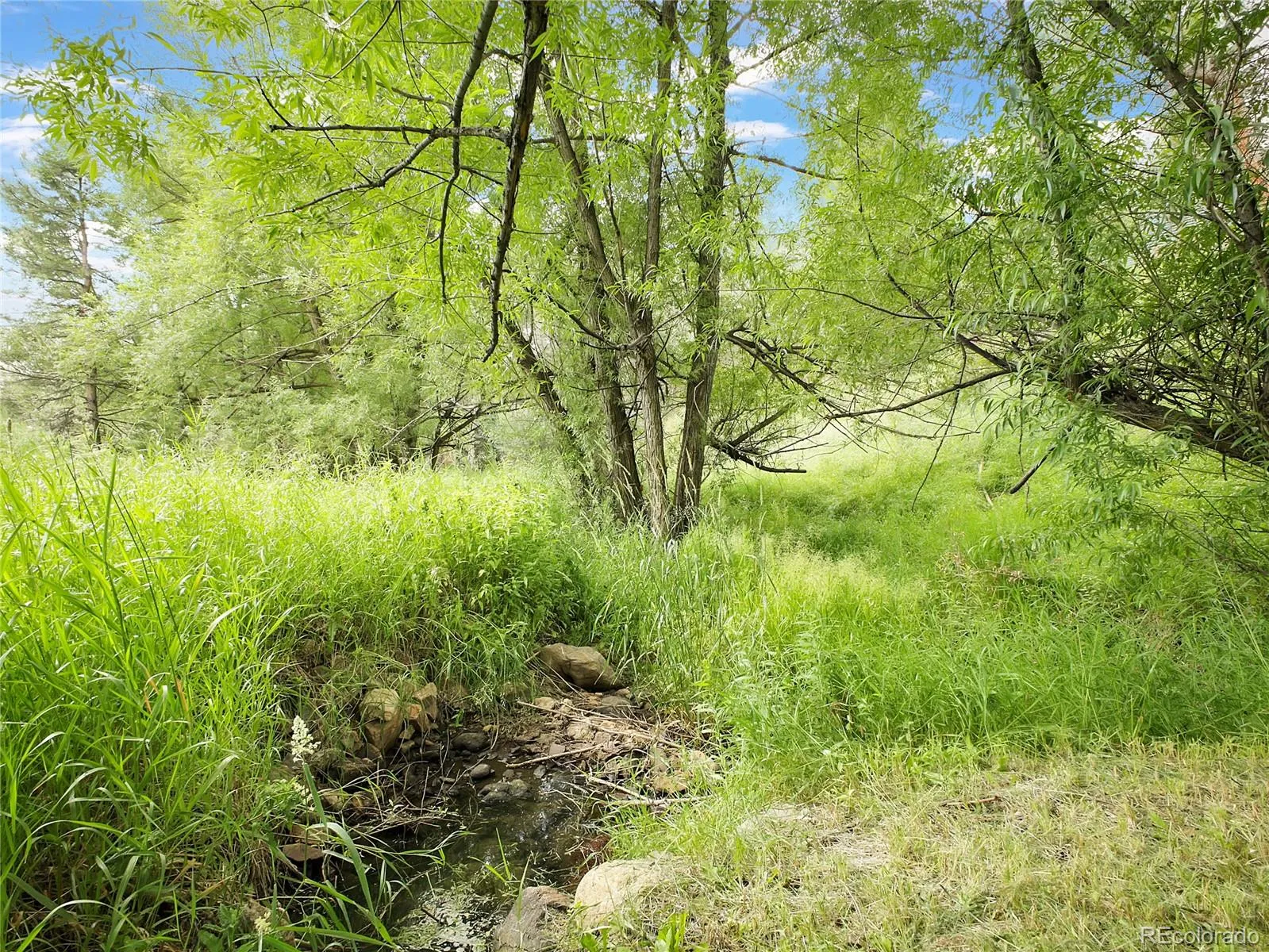 Indian Hills, Colorado 80454, United States, ,Land,Active,174416