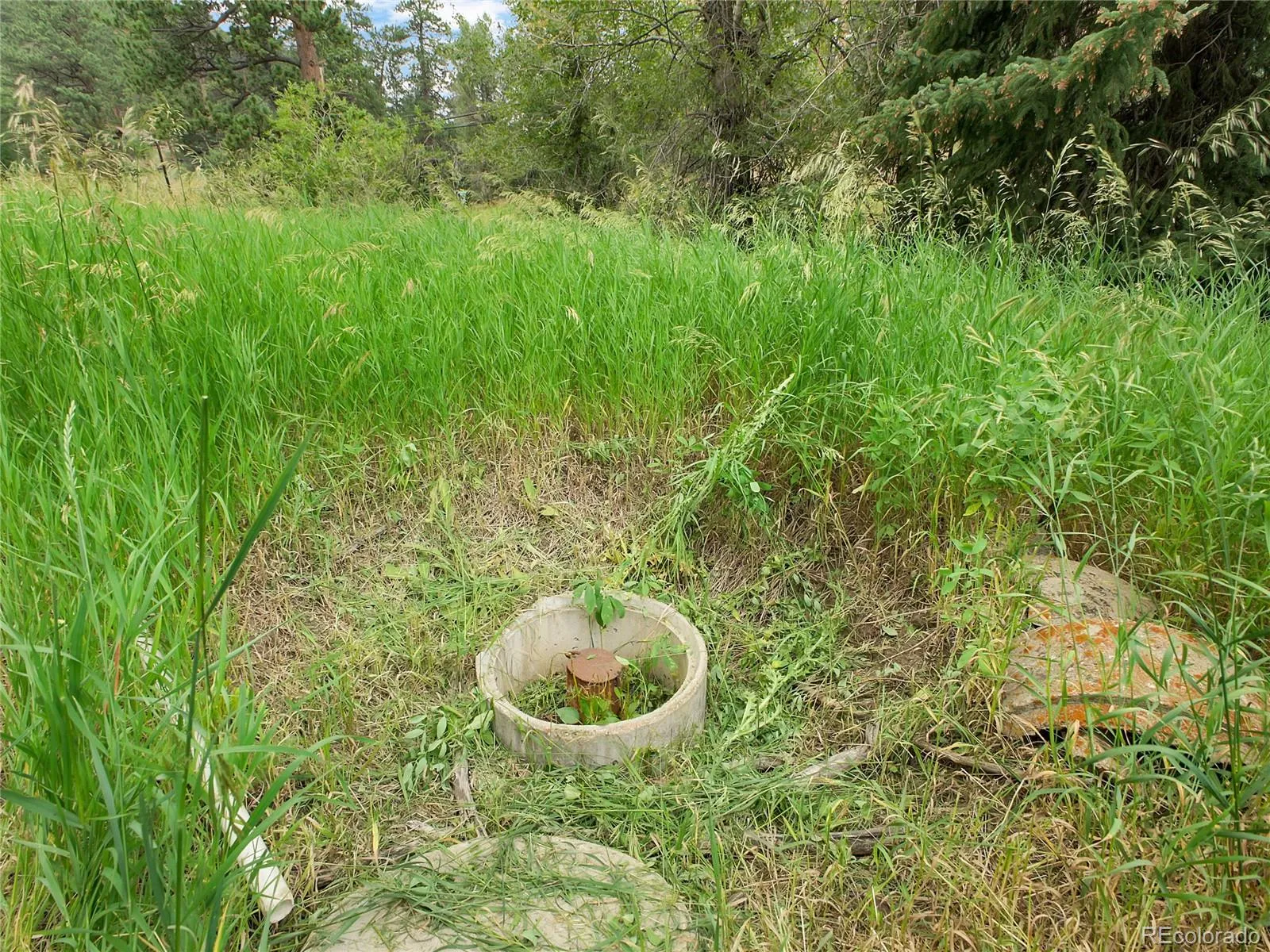 Indian Hills, Colorado 80454, United States, ,Land,Active,174416