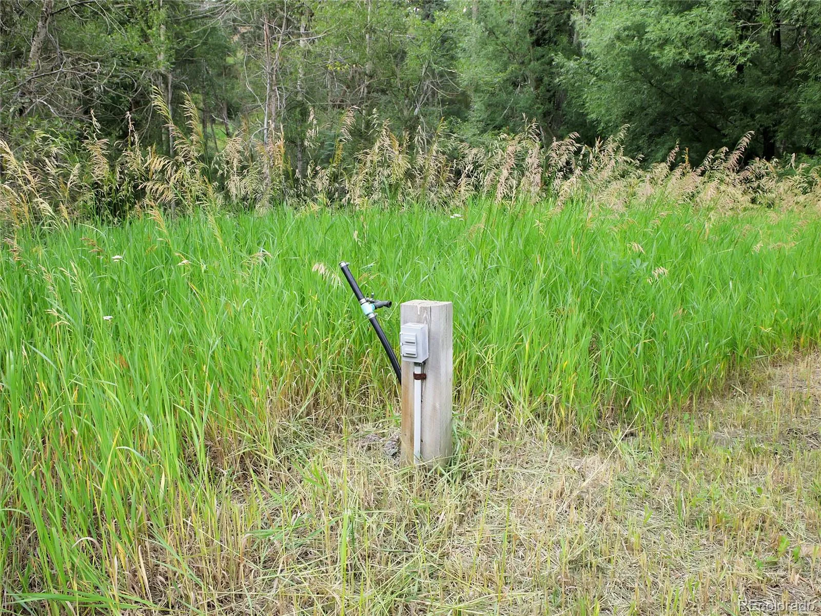 Indian Hills, Colorado 80454, United States, ,Land,Active,174416