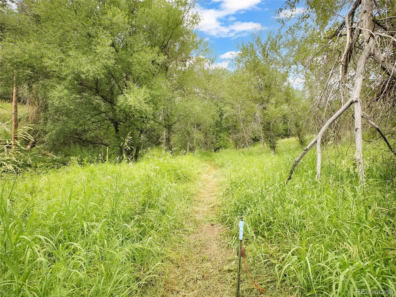 Indian Hills, Colorado 80454, United States, ,Land,Active,174416