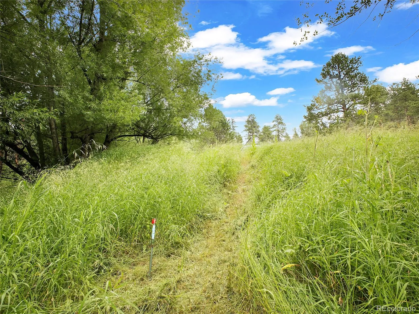 Indian Hills, Colorado 80454, United States, ,Land,Active,174416