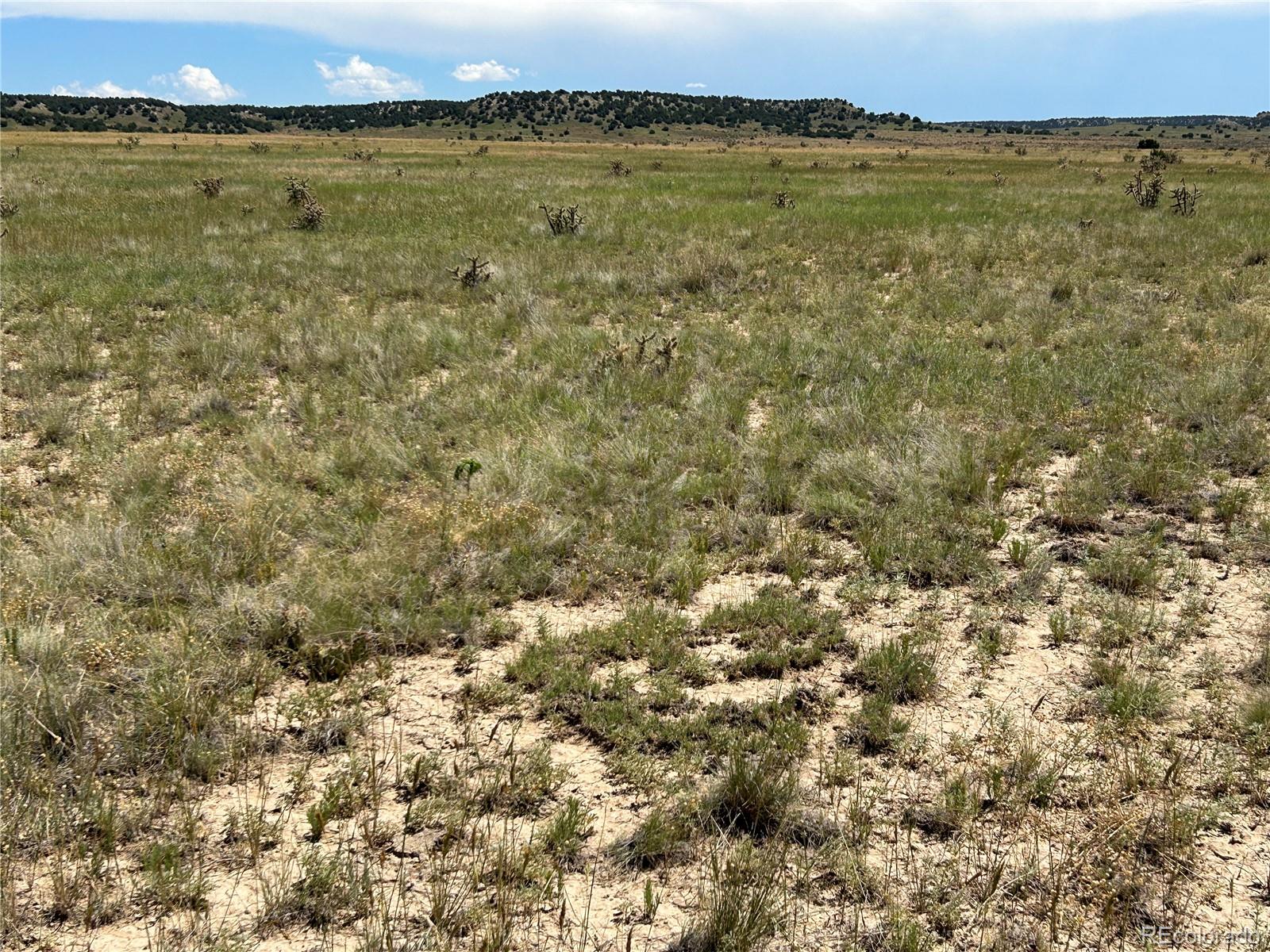 Lot 4 Outback Ranch