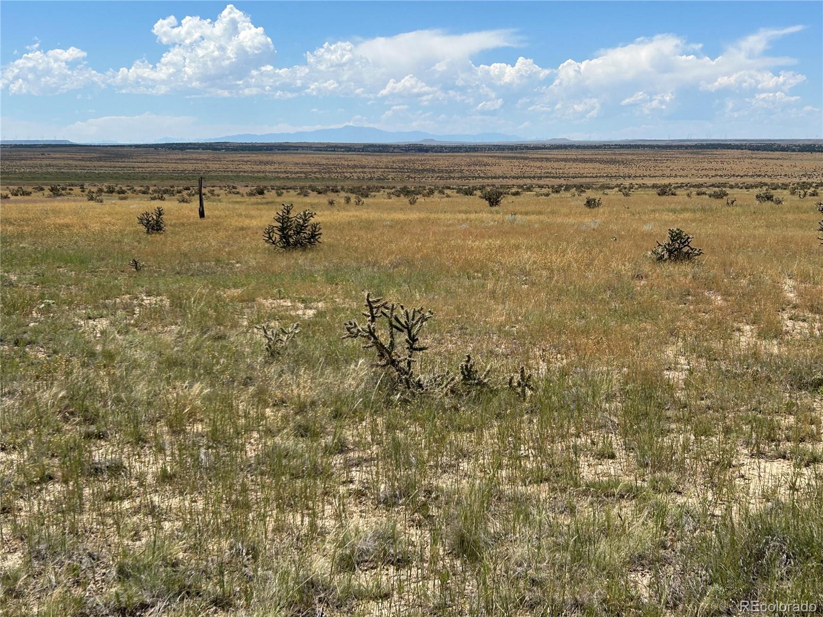 Lot 4 Outback Ranch