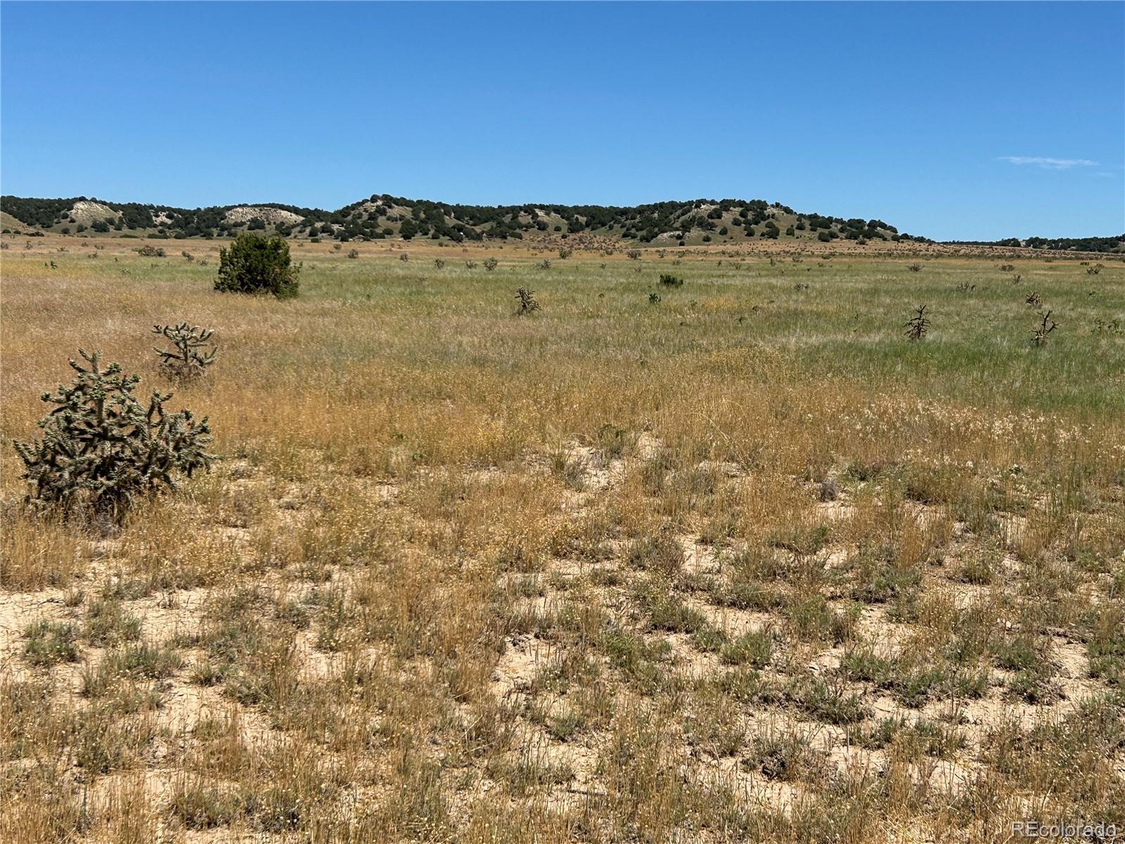 Lot 4 Outback Ranch