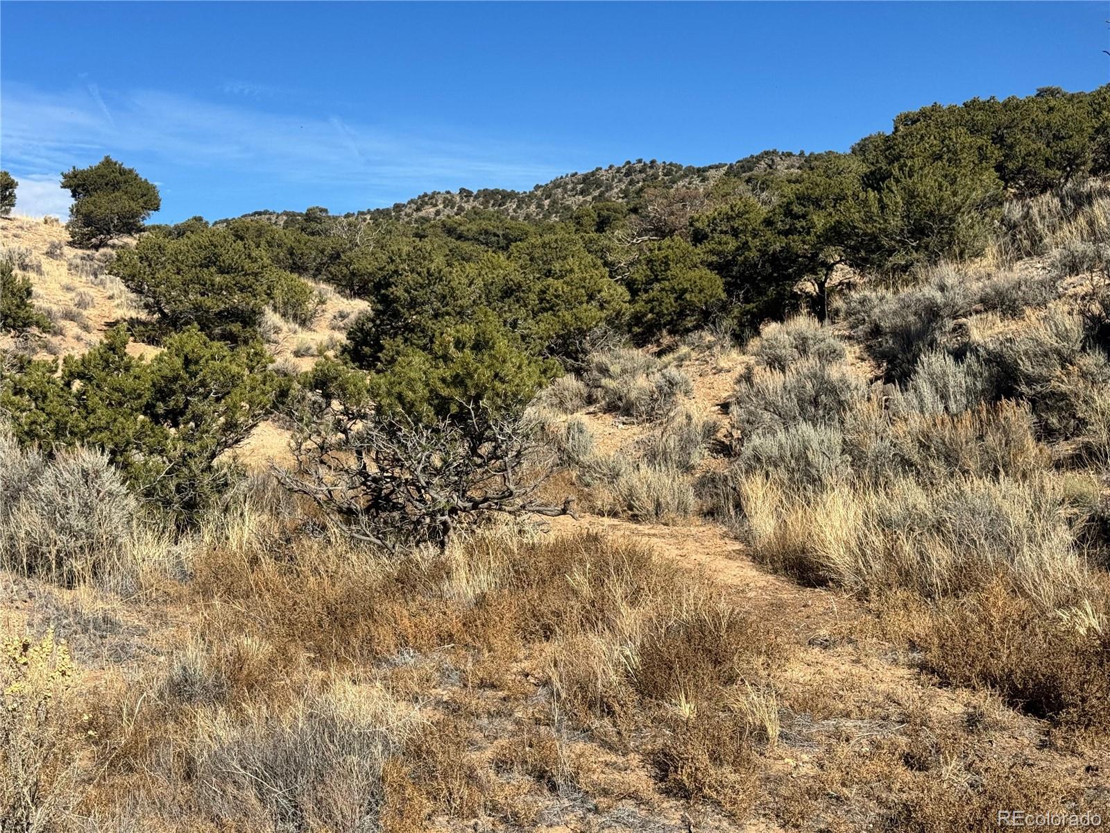 lot 2446 Zuni Road