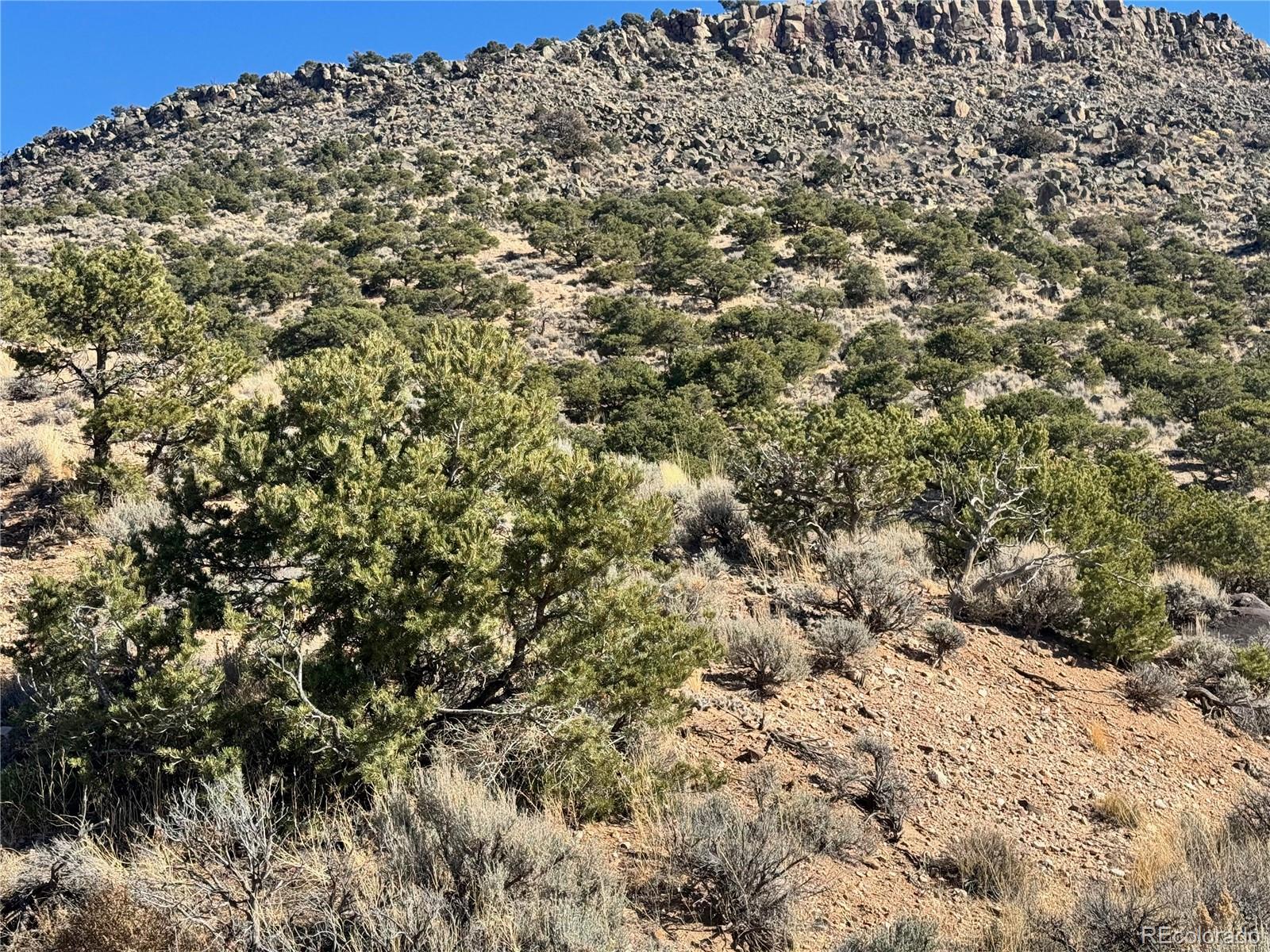 lot 2446 Zuni Road