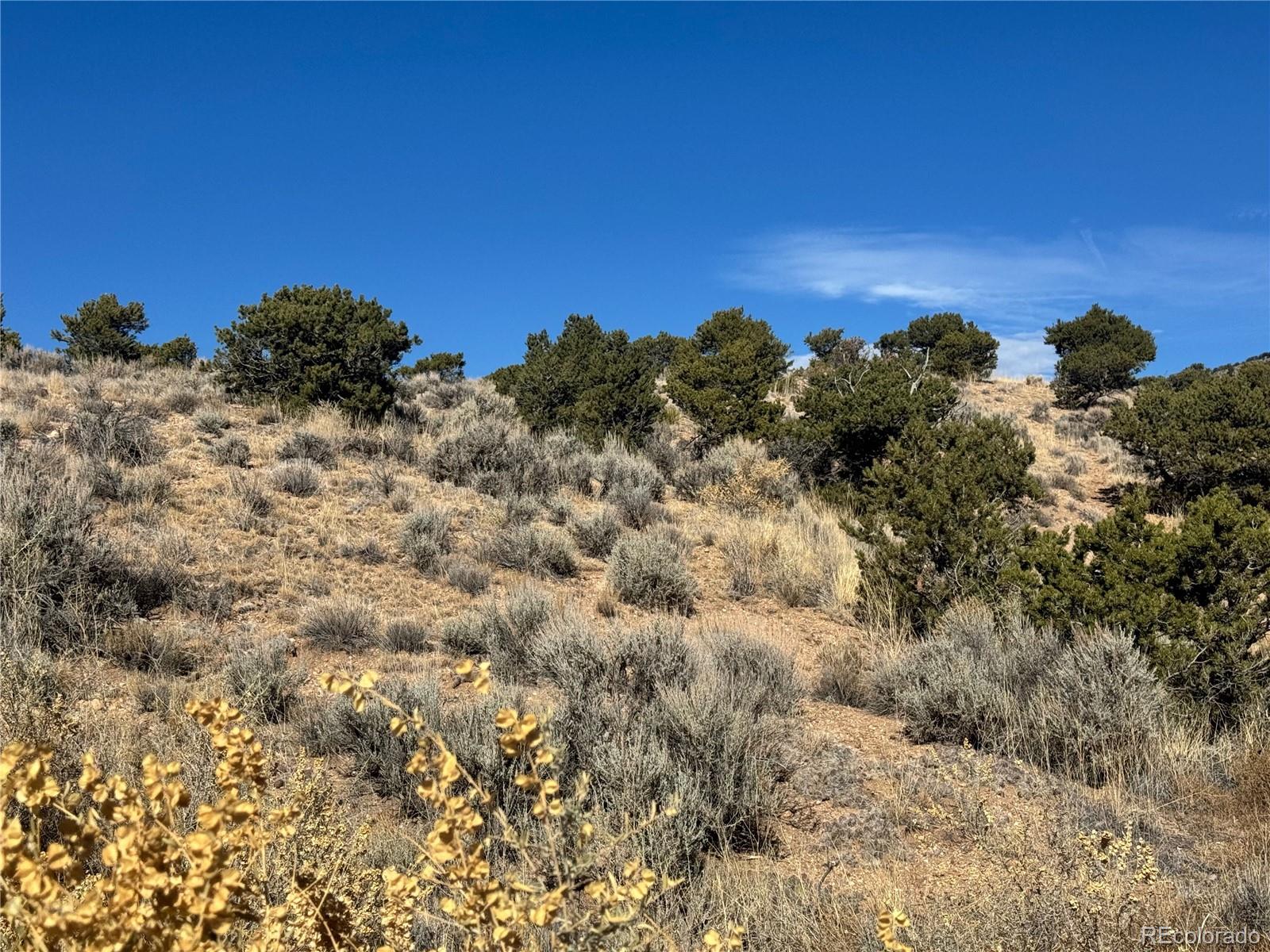 lot 2446 Zuni Road