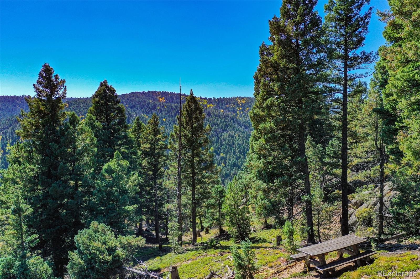 14059 Blue Jay Lane, Larkspur, CO, 80118 14059 Blue Jay Lane