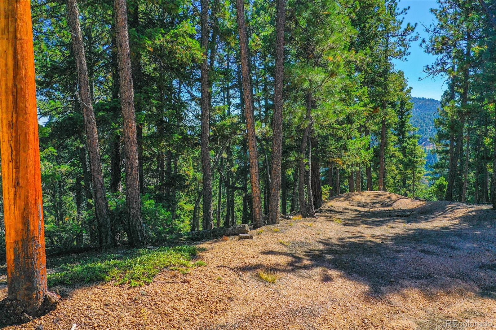 14059 Blue Jay Lane, Larkspur, CO, 80118 14059 Blue Jay Lane