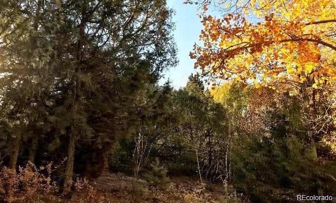 233 Lake Of The Falls Parkway