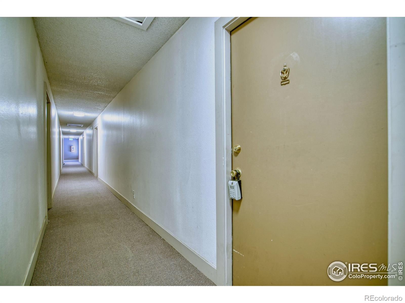2707 Valmont Road 304