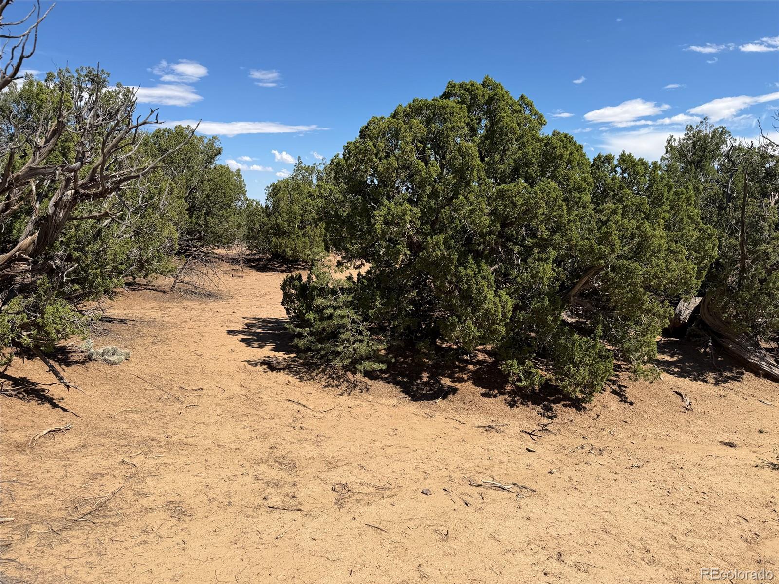 Lots 81a & 101 Twin Lakes Ranch