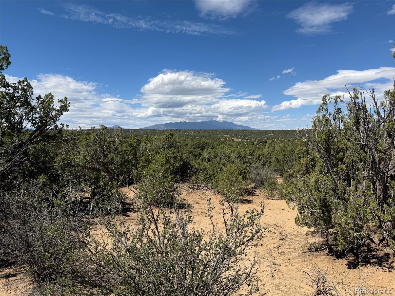 Lots 81a & 101 Twin Lakes Ranch