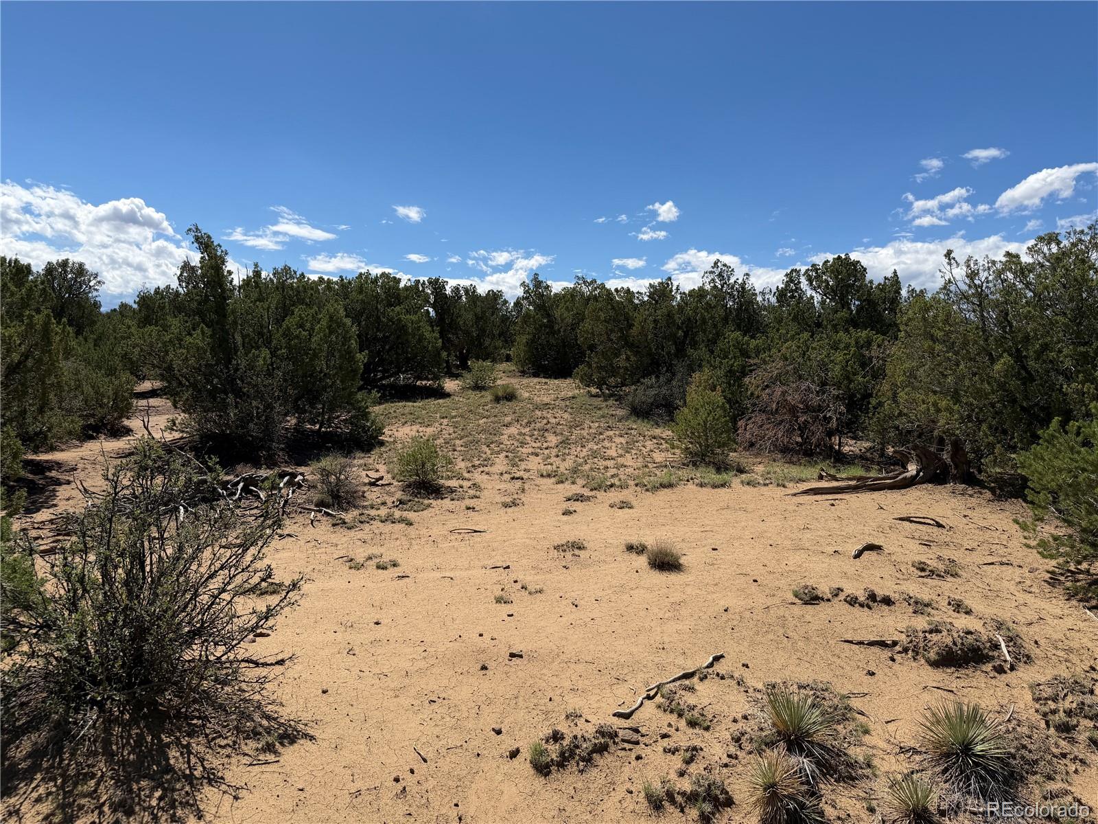 Lots 81a & 101 Twin Lakes Ranch