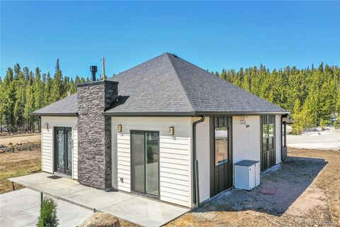 499 Silver Creek Road, Idaho Springs, CO 80452 - #: 9371124