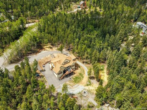 30041 Marys Drive Conifer CO 80433