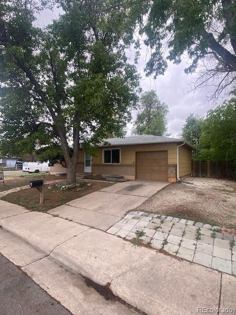 5551 Auckland Way