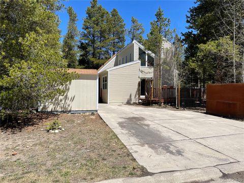 1820 Silver Eagle Court Leadville CO 80461
