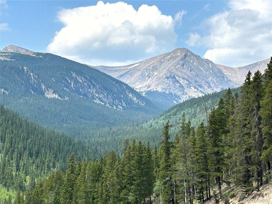 230 HARRIS DR, IDAHO SPRINGS, CO 80452 - Image cce3bcf5e1341b7ea1d705ae47c11fde/1611650000